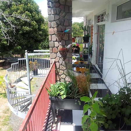 Chambre Avec Cuisine Et Sdb Semi-Privatives Separees Dans Un Ecrin De Verdure Les Abymes Exteriér fotografie