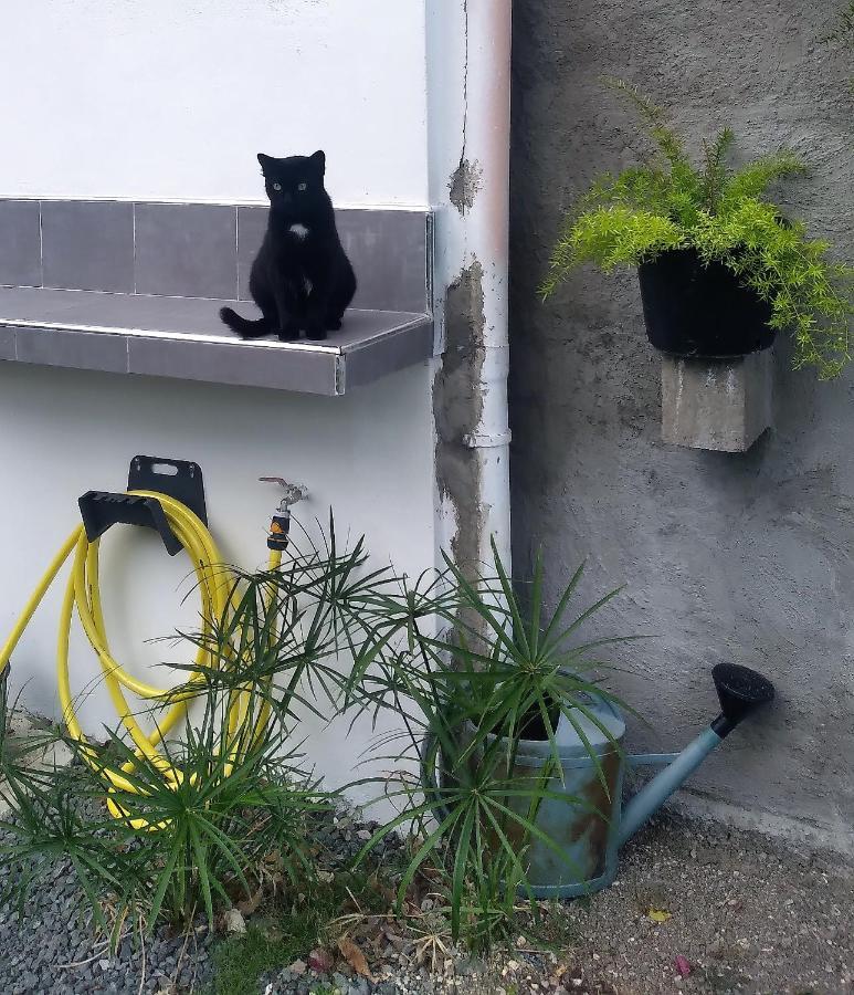Chambre Avec Cuisine Et Sdb Semi-Privatives Separees Dans Un Ecrin De Verdure Les Abymes Exteriér fotografie