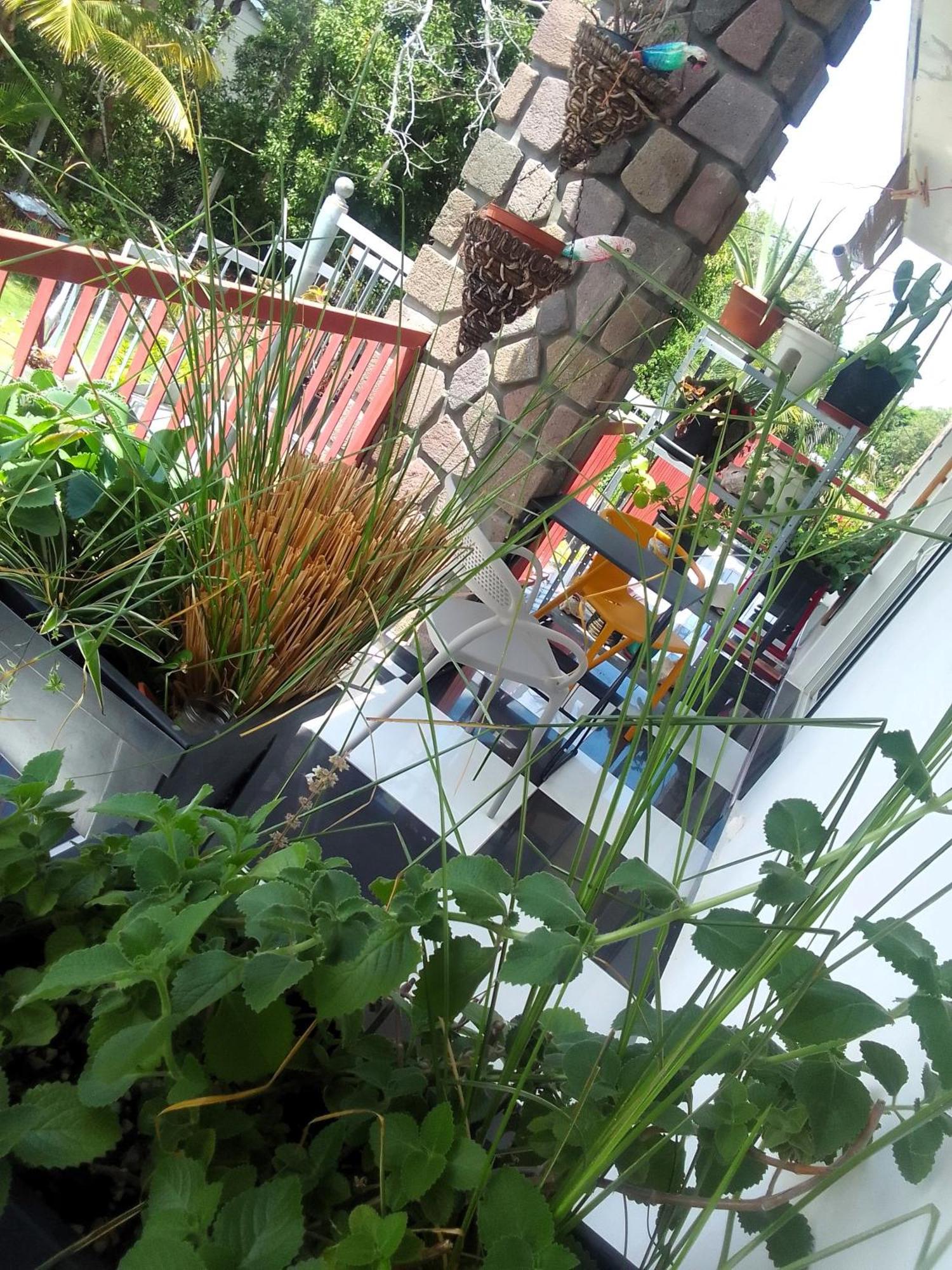 Chambre Avec Cuisine Et Sdb Semi-Privatives Separees Dans Un Ecrin De Verdure Les Abymes Exteriér fotografie